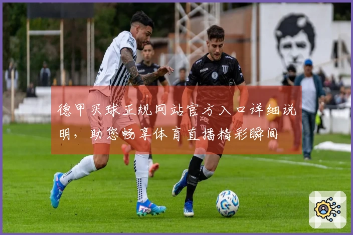 德甲买球正规网站官方入口详细说明，助您畅享体育直播精彩瞬间
