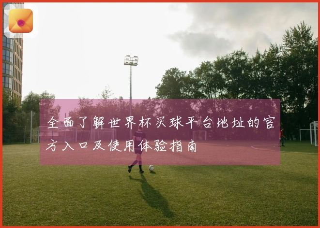 全面了解世界杯买球平台地址的官方入口及使用体验指南