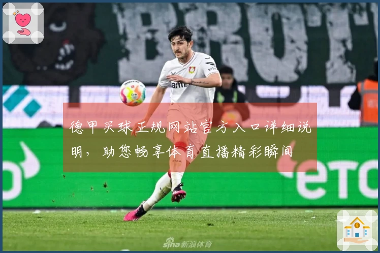 德甲买球正规网站官方入口详细说明，助您畅享体育直播精彩瞬间