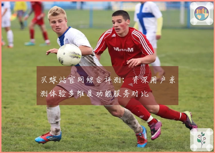 买球站官网综合评测：资深用户亲测体验多维度功能服务对比