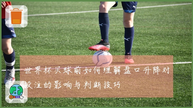 世界杯买球前如何理解盘口升降对投注的影响与判断技巧