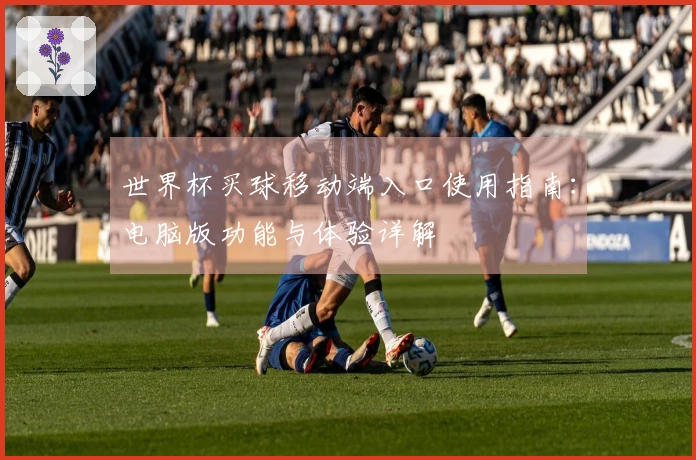 世界杯买球移动端入口使用指南：电脑版功能与体验详解