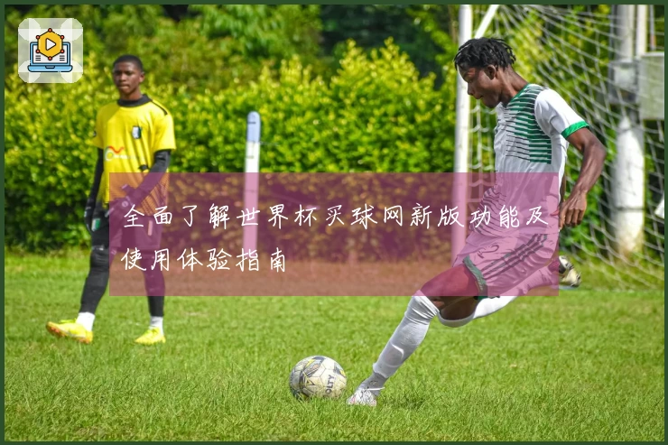 全面了解世界杯买球网新版功能及使用体验指南