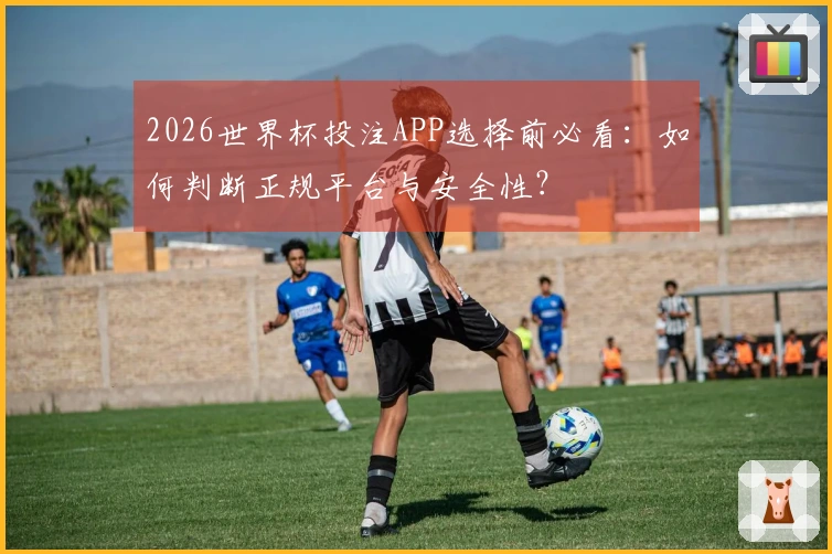 2026世界杯投注APP选择前必看：如何判断正规平台与安全性？