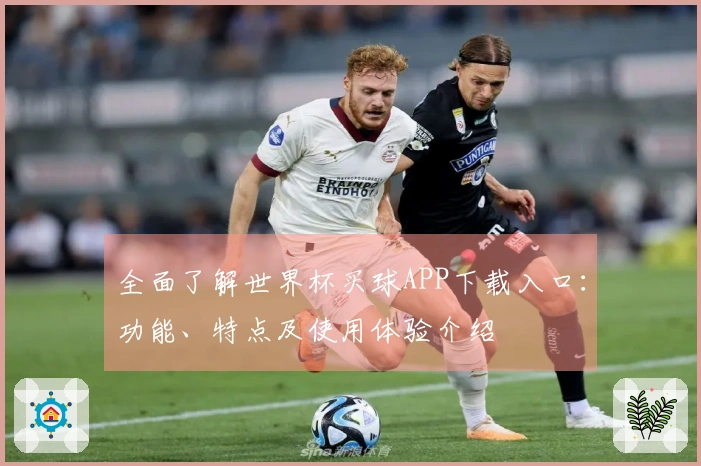 全面了解世界杯买球APP下载入口:功能、特点及使用体验介绍