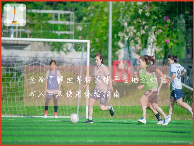 全面了解世界杯买球平台地址的官方入口及使用体验指南